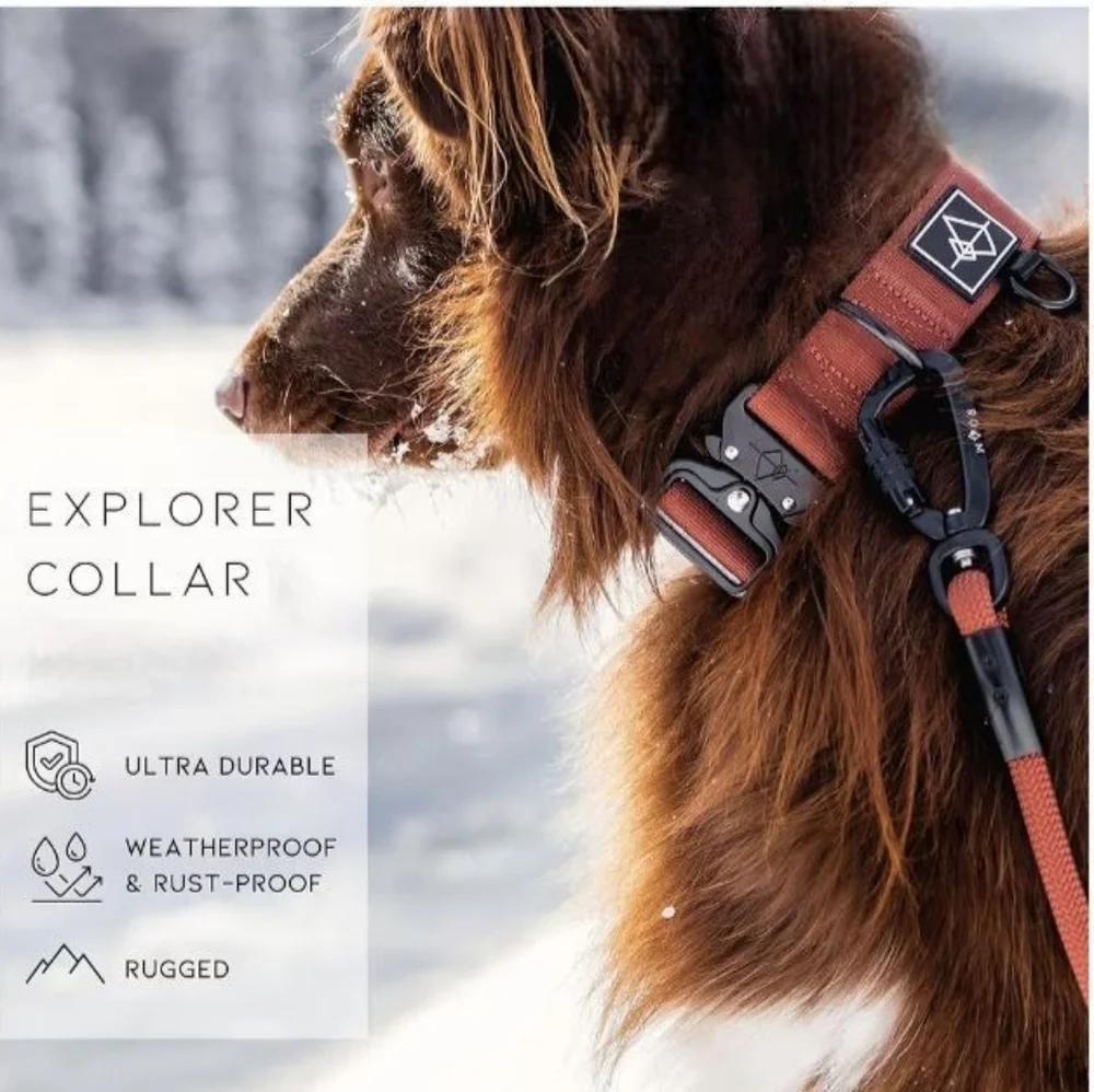Explorer Roam Dog Collar